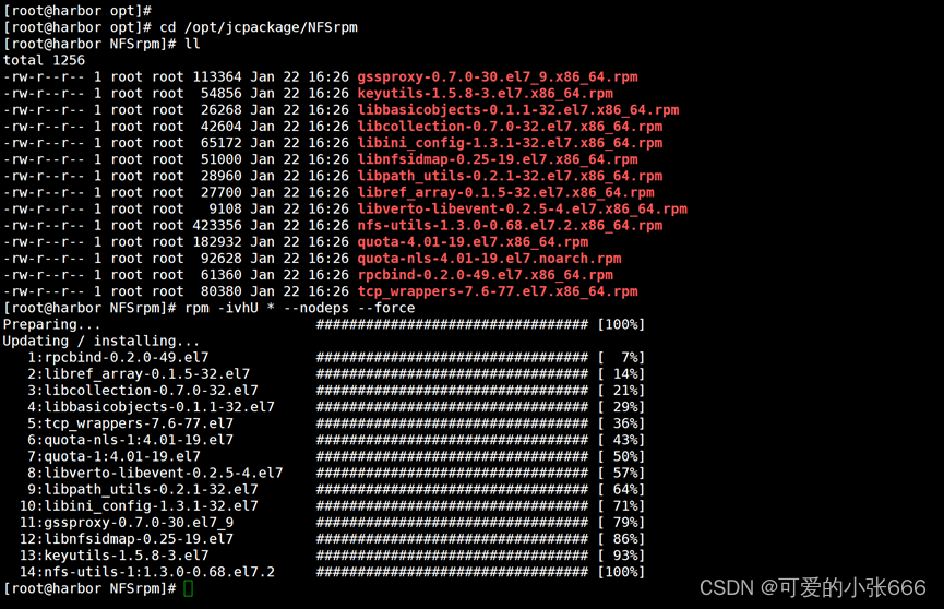 linux内网搭建NFS网络文件系统（rpm）,在这里插入图片描述,第8张