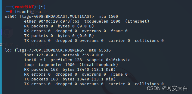 Kali Linux虚拟机无法连网,第3张