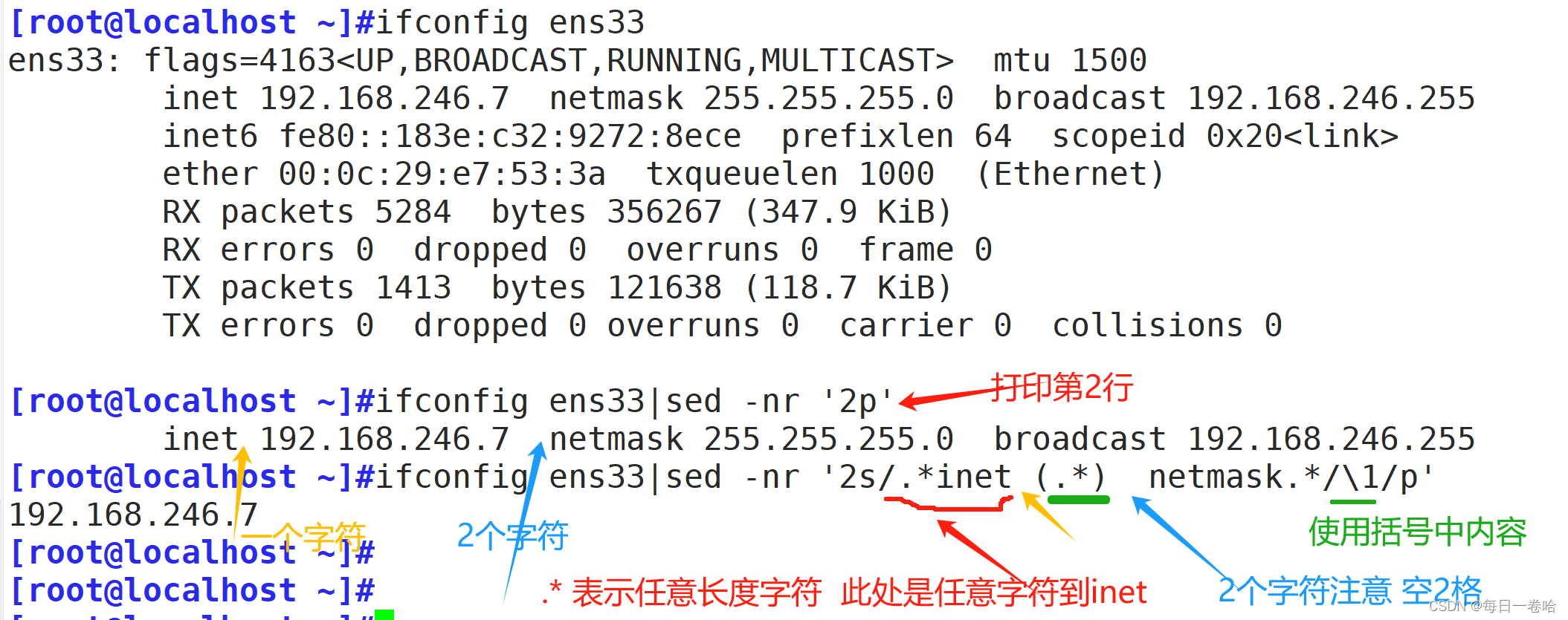 Linux系统Shell脚本-----------正则表达式 文本三剑客之---------grep、 sed,第65张