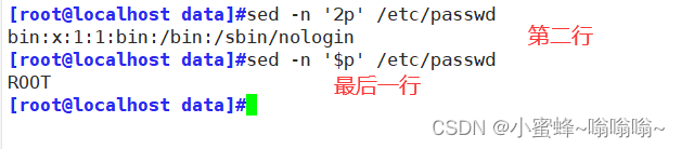 shell - 正则表达式和grep命令和sed命令,第30张