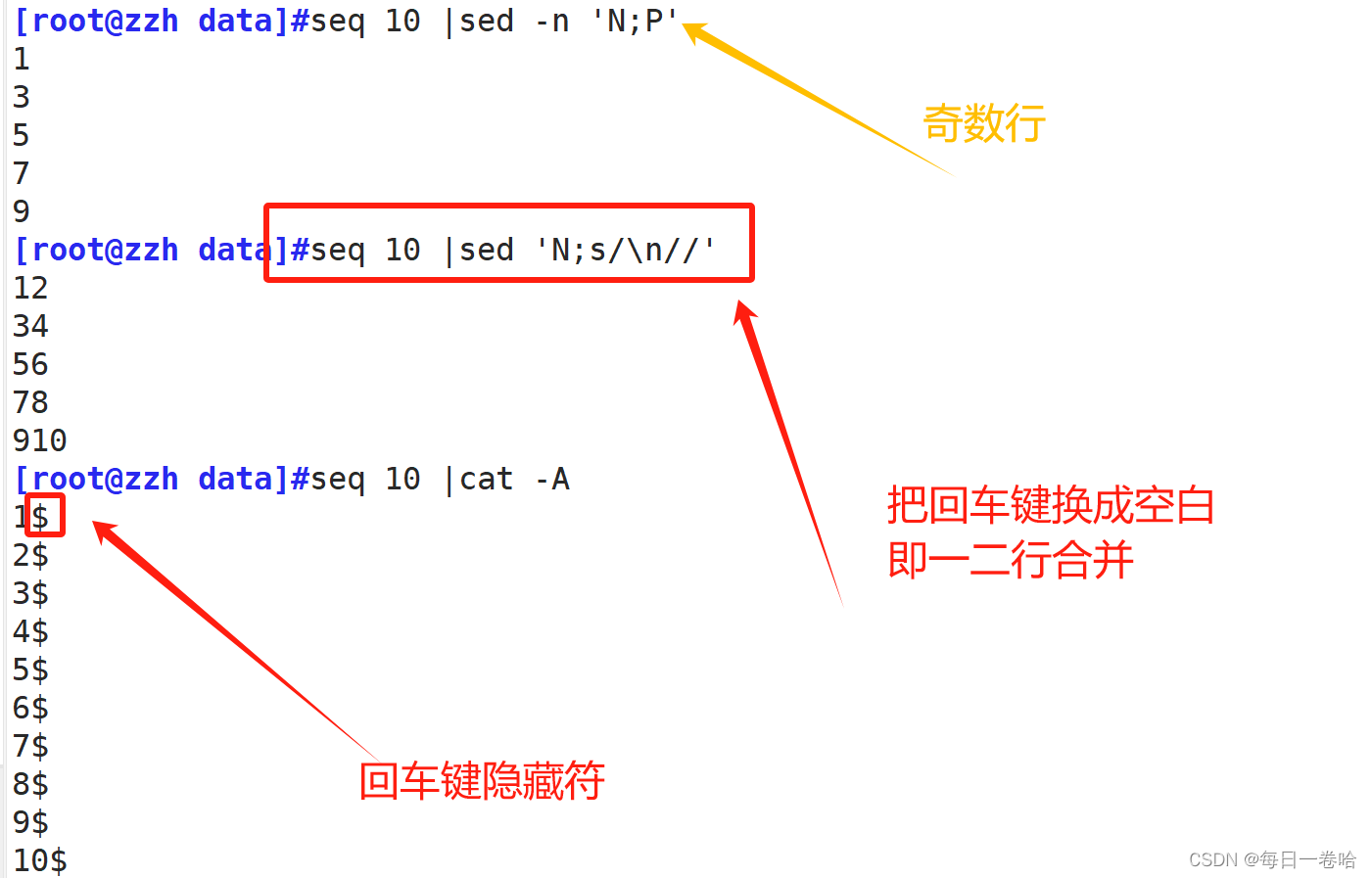 Linux系统Shell脚本-----------正则表达式 文本三剑客之---------grep、 sed,第83张