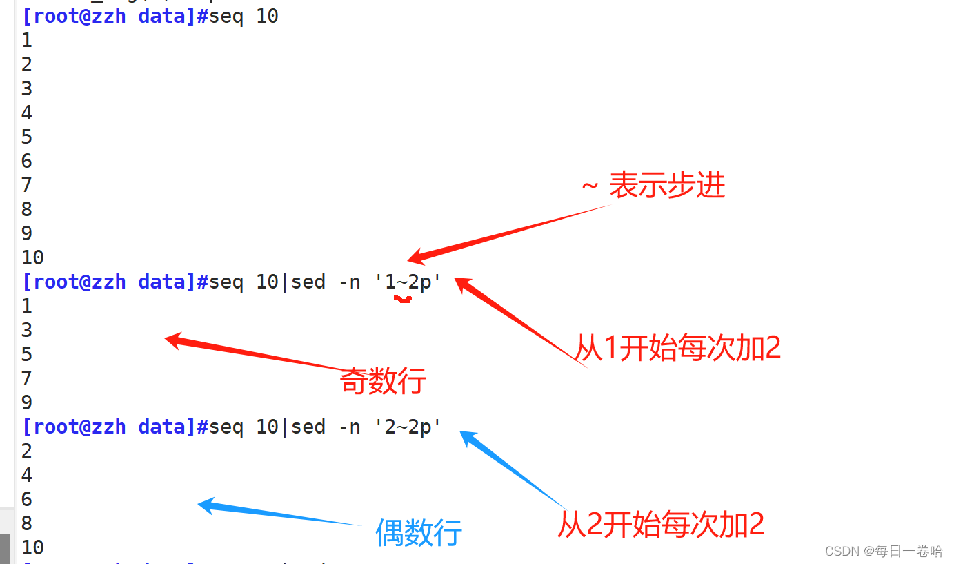 Linux系统Shell脚本-----------正则表达式 文本三剑客之---------grep、 sed,第56张