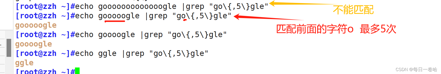 Linux系统Shell脚本-----------正则表达式 文本三剑客之---------grep、 sed,第18张