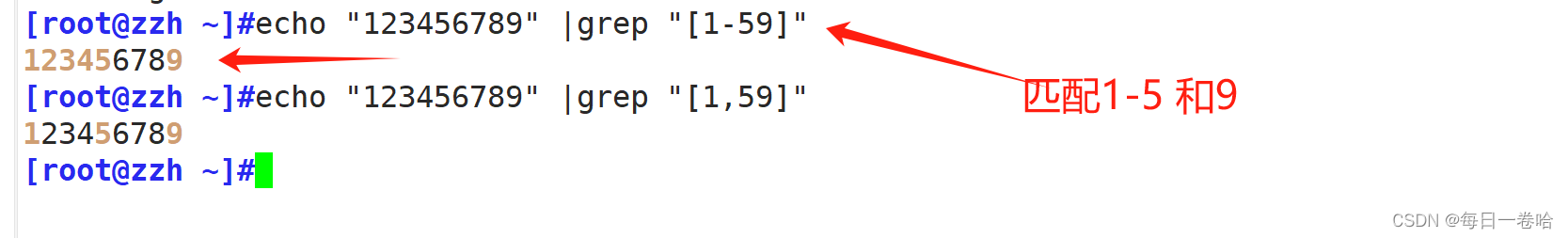 Linux系统Shell脚本-----------正则表达式 文本三剑客之---------grep、 sed,第7张