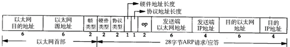 网络协议格式 | 以太网帧、ARP数据报、IP数据报、UDP数据报、TCP数据报,ARP数据报格式,第4张