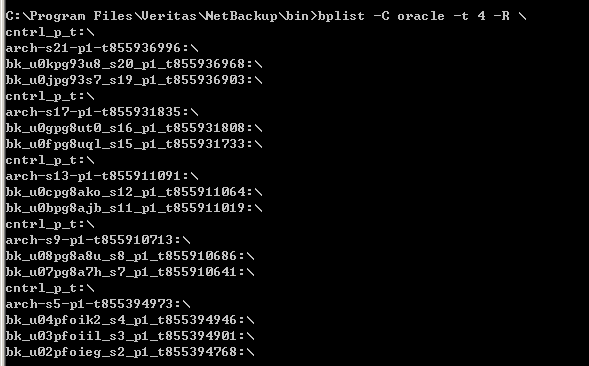 通过Netbackup恢复Oracle备份实操手册,第3张