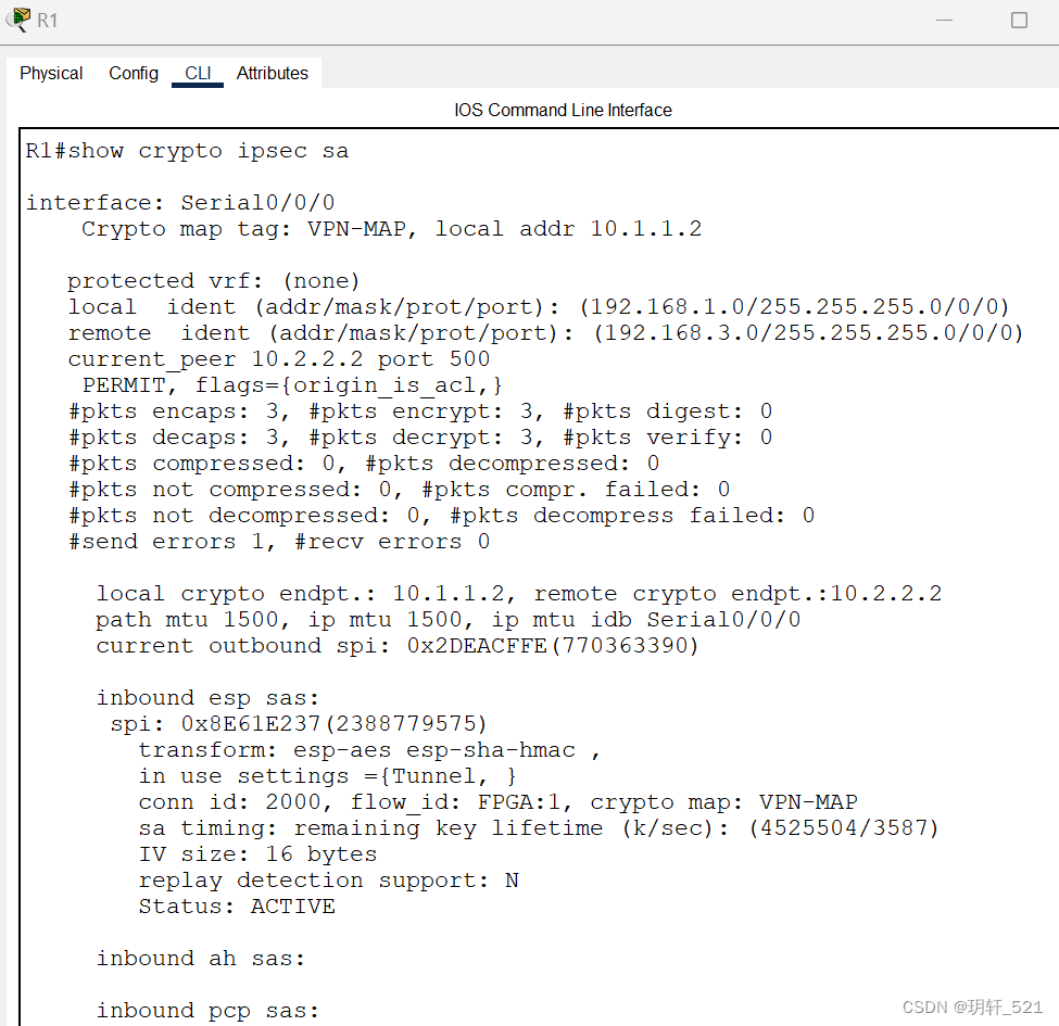 Packet Tracer - Configure and Verify a Site-to-Site IPsec VPN Using CLI,在这里插入图片描述,第8张