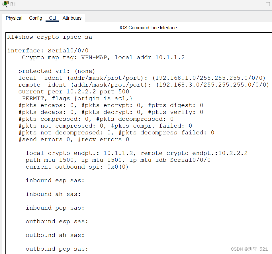 Packet Tracer - Configure and Verify a Site-to-Site IPsec VPN Using CLI,在这里插入图片描述,第6张