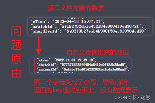 springboot中自定义JavaBean返回的json对象属性名称大写变小写问题,在这里插入图片描述,第2张