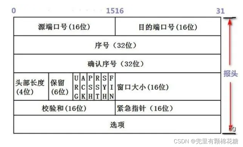 【计算机网络】TCP原理 | 可靠性机制分析（一）,在这里插入图片描述,第3张