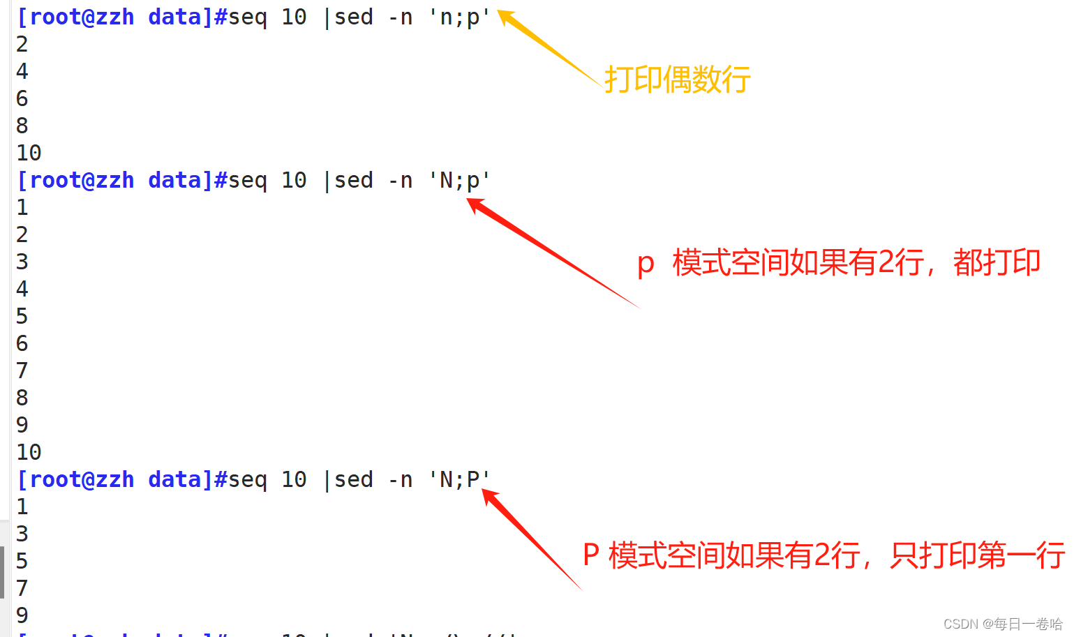 Linux系统Shell脚本-----------正则表达式 文本三剑客之---------grep、 sed,第82张