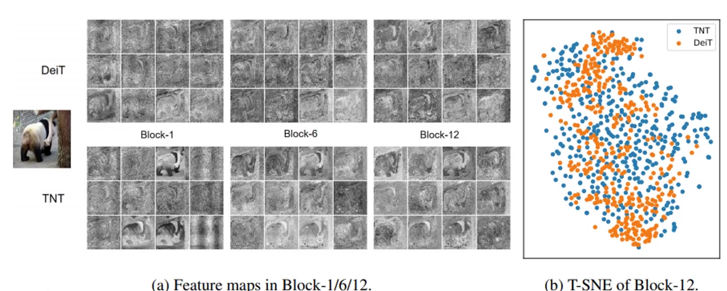 Transformer在计算机视觉中的应用-VIT、TNT模型,第22张