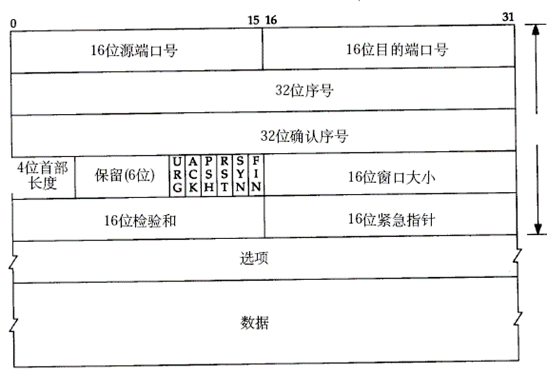 网络协议格式 | 以太网帧、ARP数据报、IP数据报、UDP数据报、TCP数据报,TCP数据段,第7张