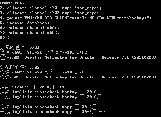 通过Netbackup恢复Oracle备份实操手册,第12张