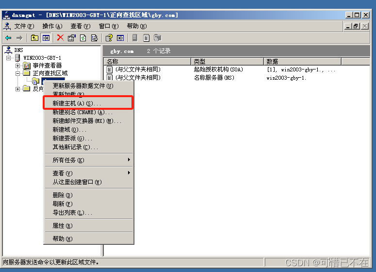 Windows Server 2003 DNS服务器搭建,第20张